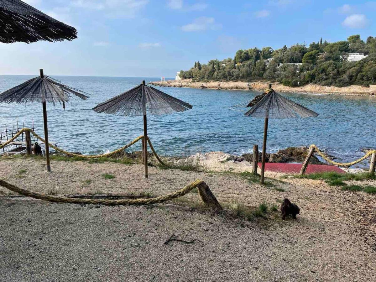 Lui * Pula